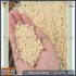 25 KG (1 Pack ) Hot Melt Glue (140°C) - Image 6